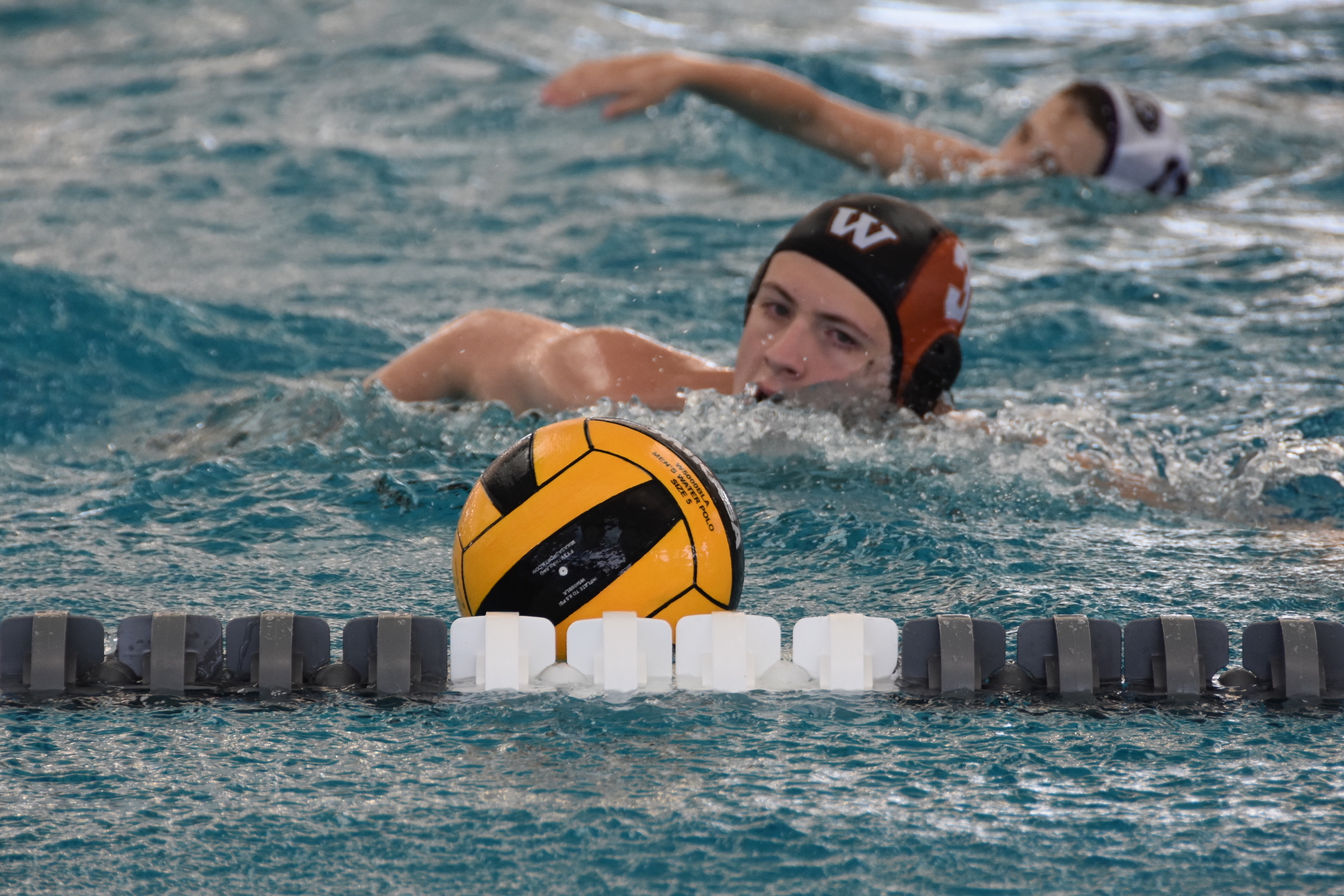 Q&A with Water Polo Captain Freddy Browarski
